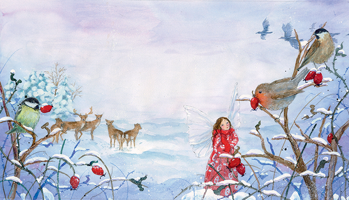 Illustration from Daniela Drescher, Little Fairy's Christmas
