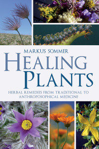 SommerHealingPlants