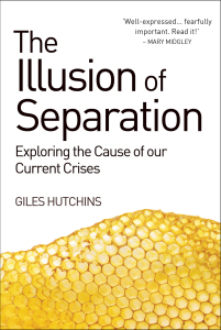 HutchinsIllusionofSeparation