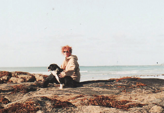 beach and dog