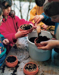 Spring Nature Activities for Children