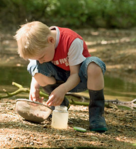 Exploring a stream