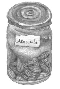 Almond Biscuits - almond illustration