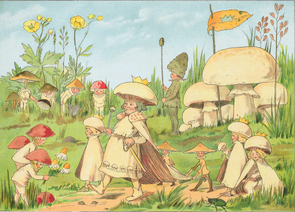 The Tale of the Mushroom Folk by Signe Aspelin