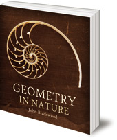John Blackwood - Geometry in Nature: Exploring the Morphology of the Natural World through Projective Geometry