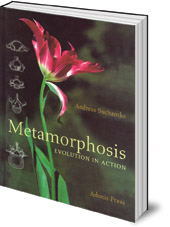 Andreas Suchantke; Translated by Norman Skillen - Metamorphosis: Evolution in Action