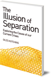 Giles Hutchins - The Illusion of Separation: Exploring the Cause of our Current Crises