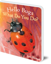 Illustrated by Loes Botman - Hello Bugs, What Do You Do?