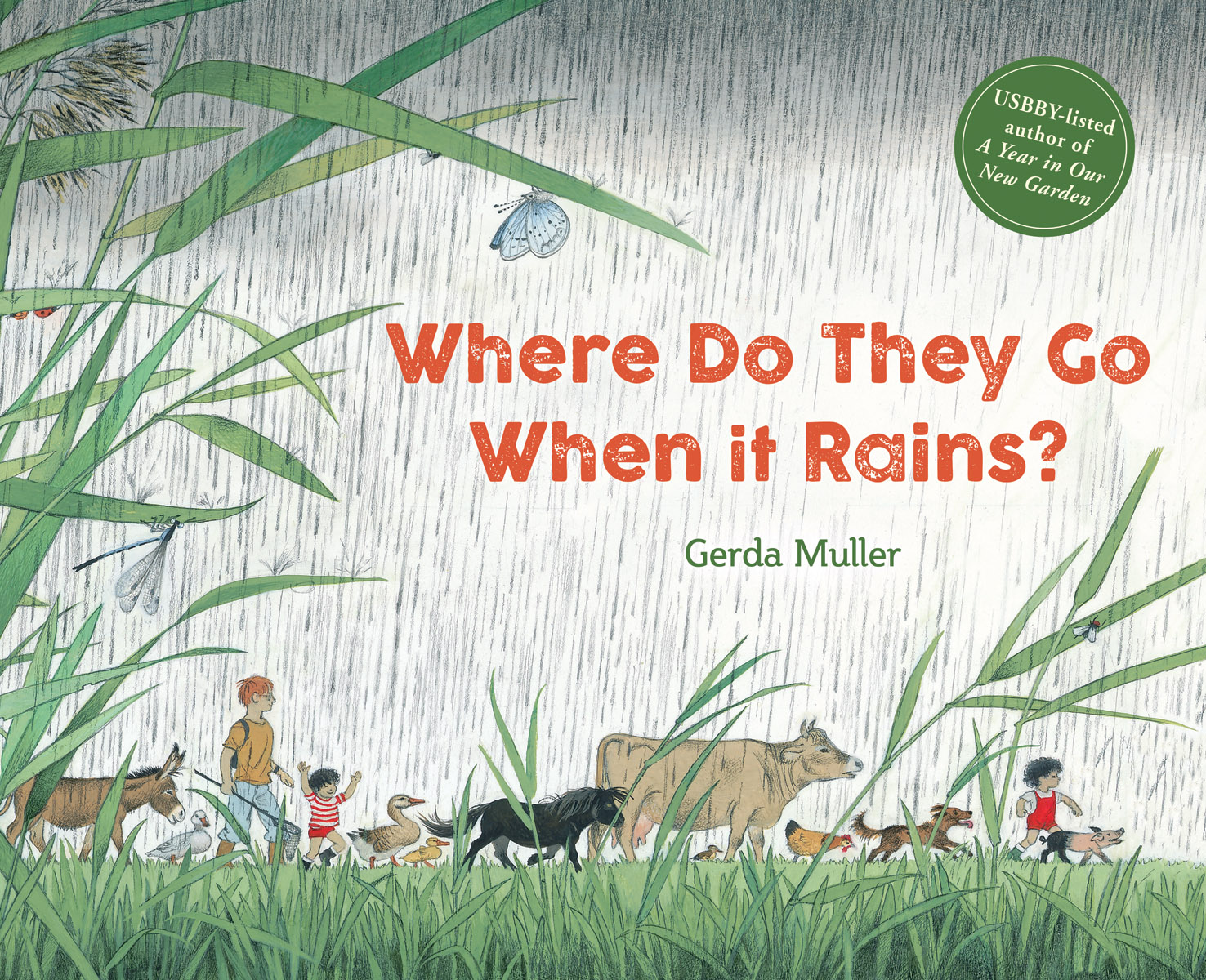 Gerda Muller, Where Do They Go When it Rains? cover image
