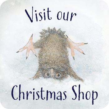 Visit our Christmas shop!