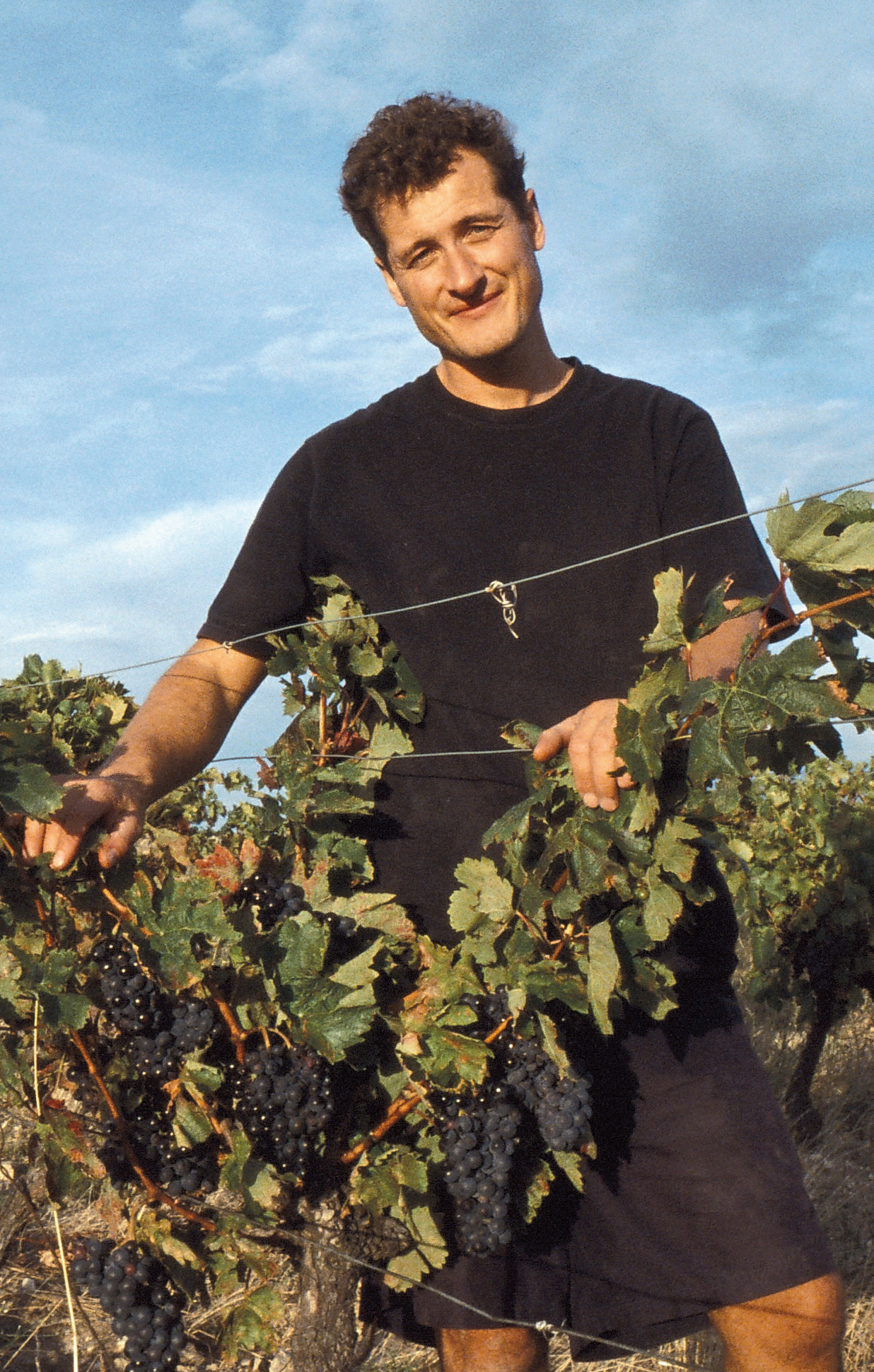 Photograph of Monty Waldin Photograph of Monty Waldin