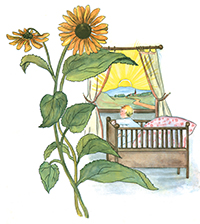 Illustration from The Story of Little Billy Bluesocks by Sibylle von Olfers